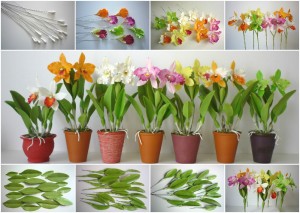 Cattleya orchideák